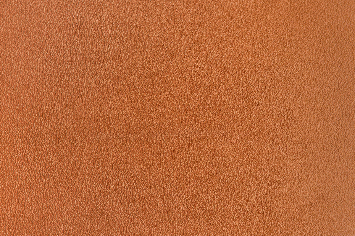 The origin of the leather