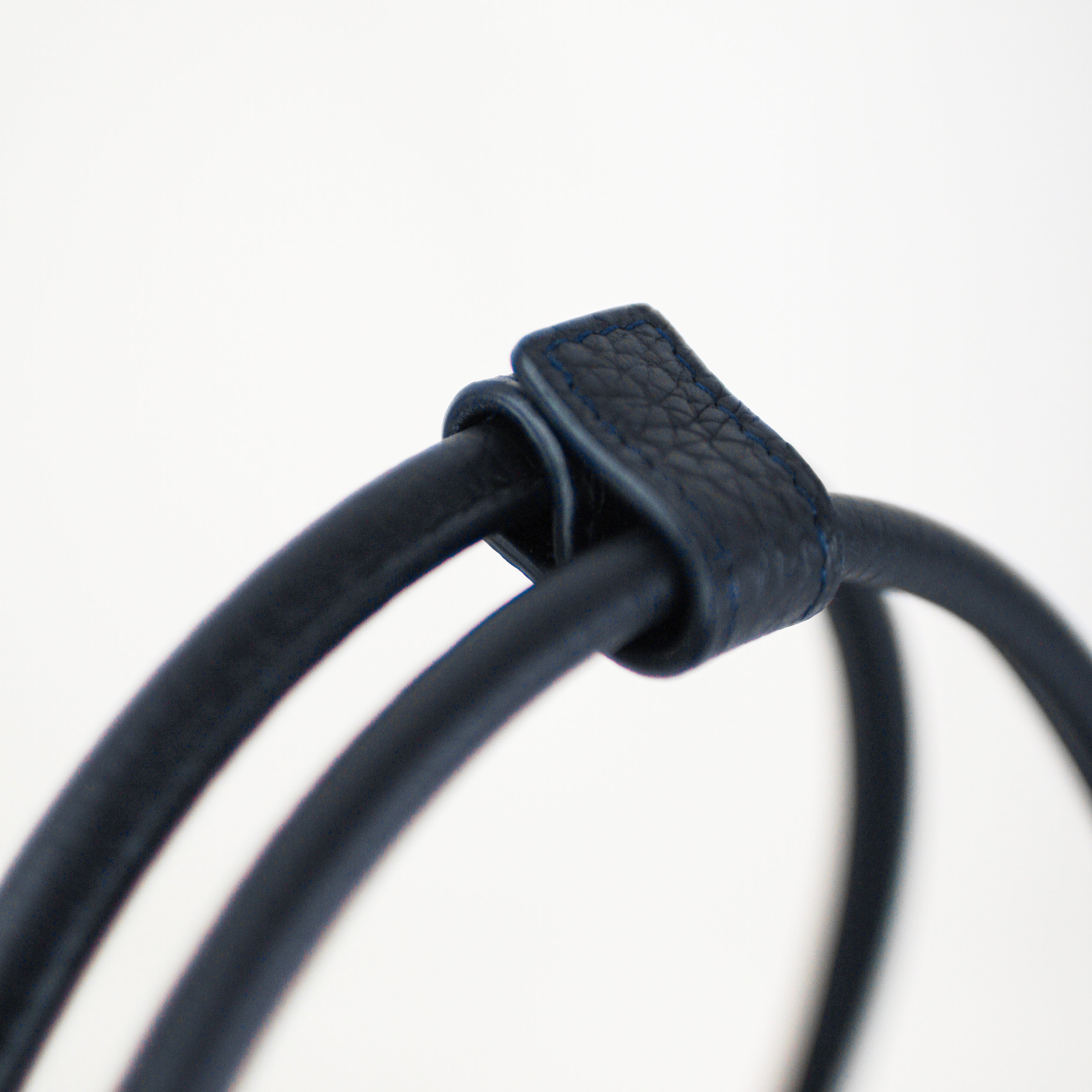 チュイルリーエクリプス